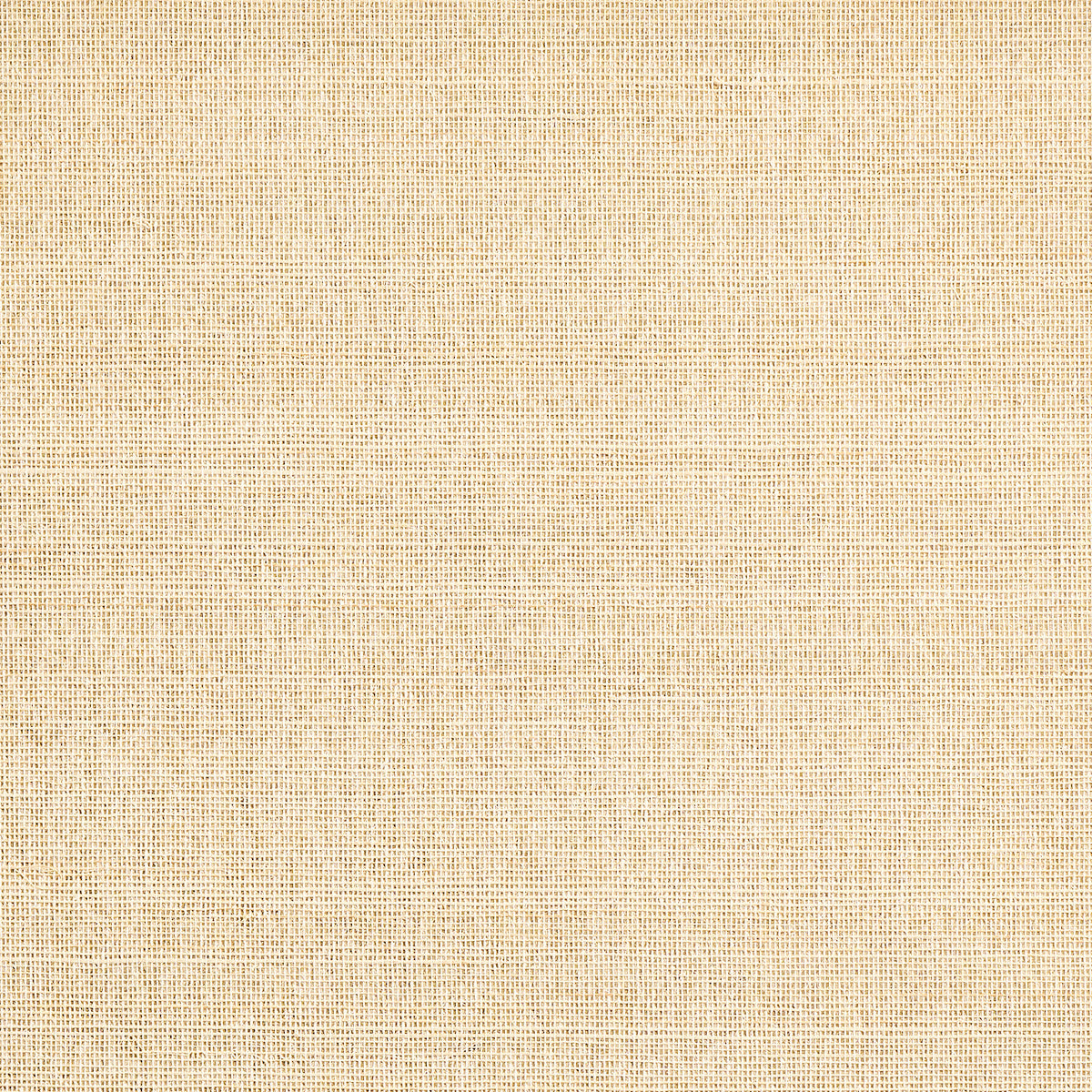 ABACA-MIST-SUNRISE-SERENITY-PHILLIP-JEFFRIES-10133 - Phillip Jeffries Wallpaper Wallpaper
