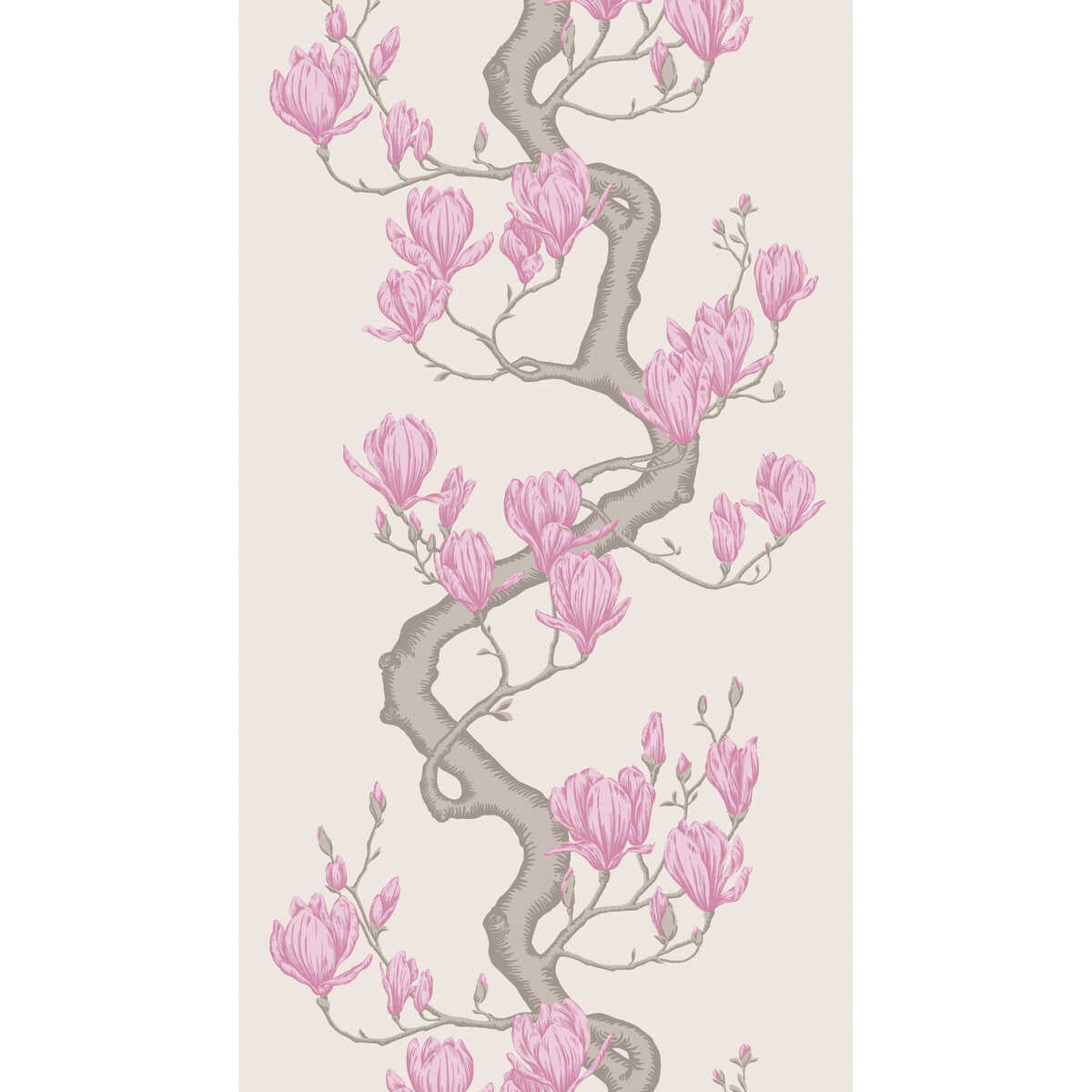 Magnolia Tree - Parchment - COLE & SON Wallpaper