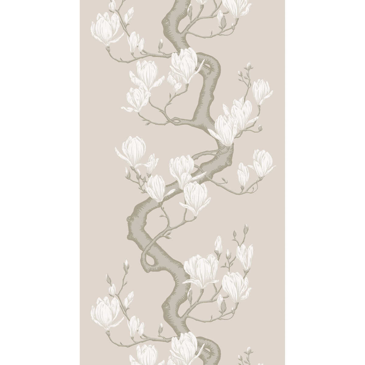 Magnolia Tree - Soft Cream - COLE & SON Wallpaper