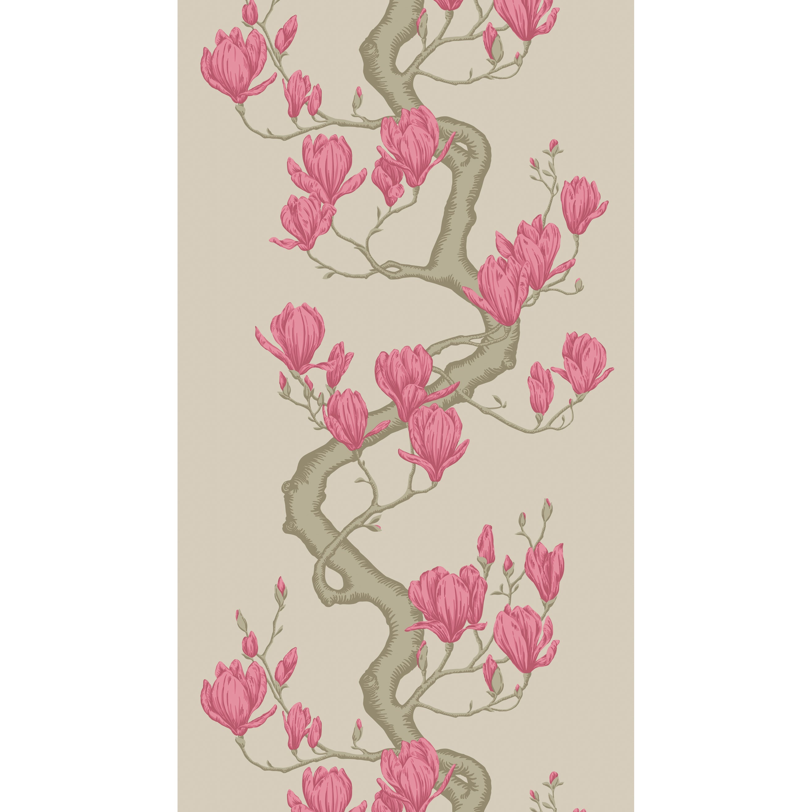 Magnolia Tree - Magenta - Cole & Son Wallpaper