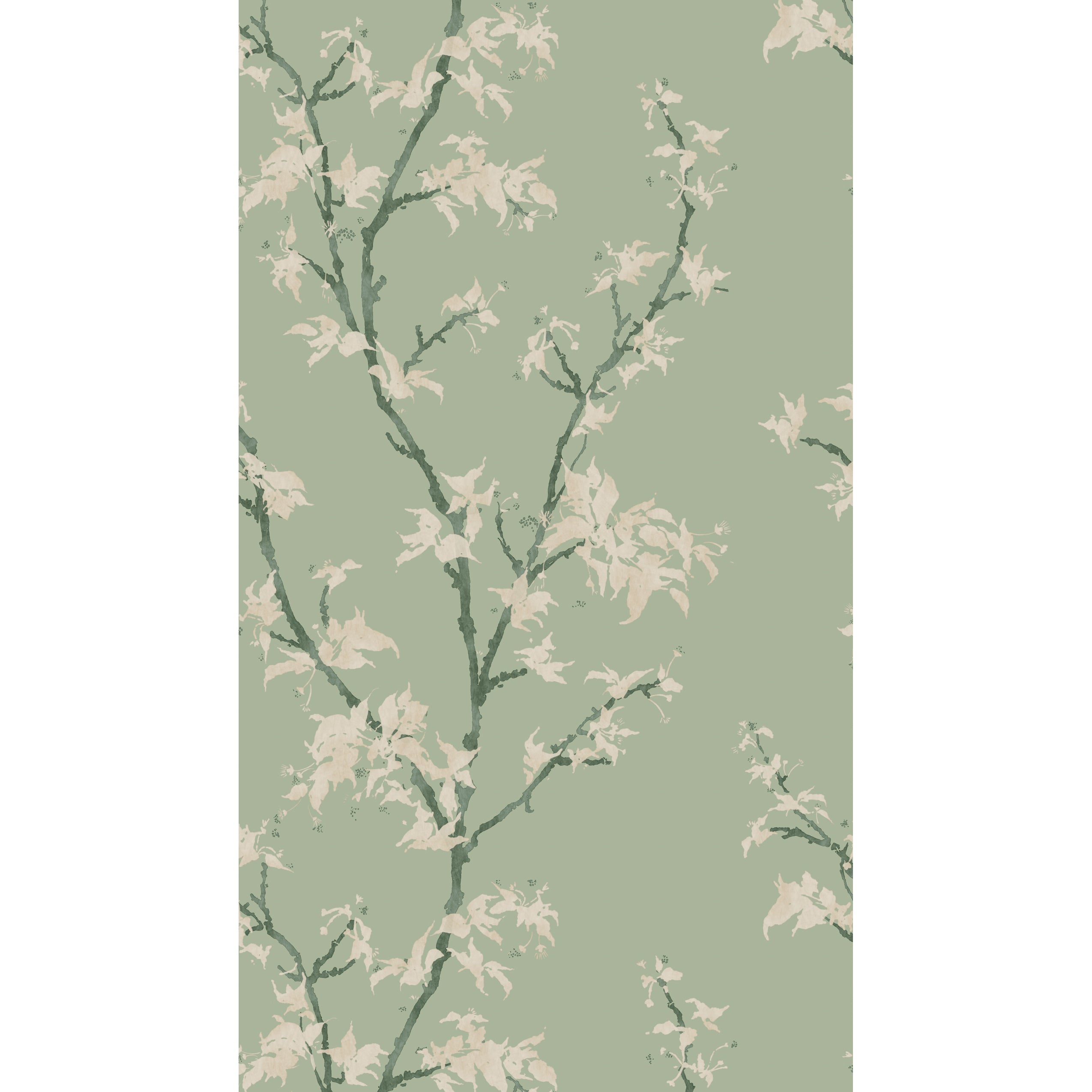 Chinese Branch - Sage - Cole & Son Wallpaper