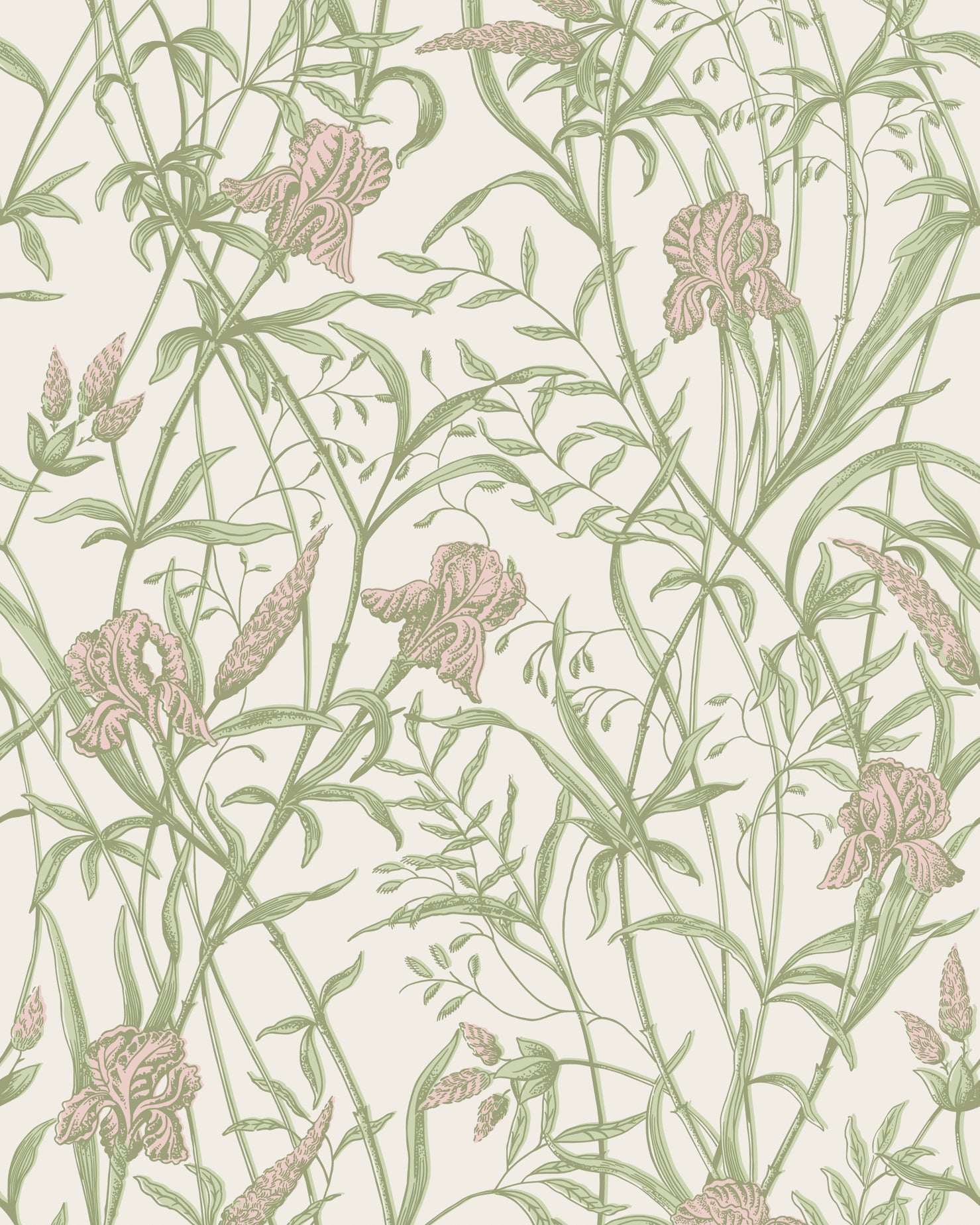 Iris - Soft Coral On Chalk - Cole & Son Wallpaper