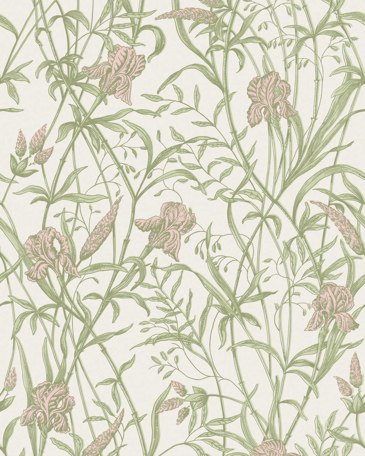 Iris - Soft Coral On Chalk - COLE & SON Wallpaper