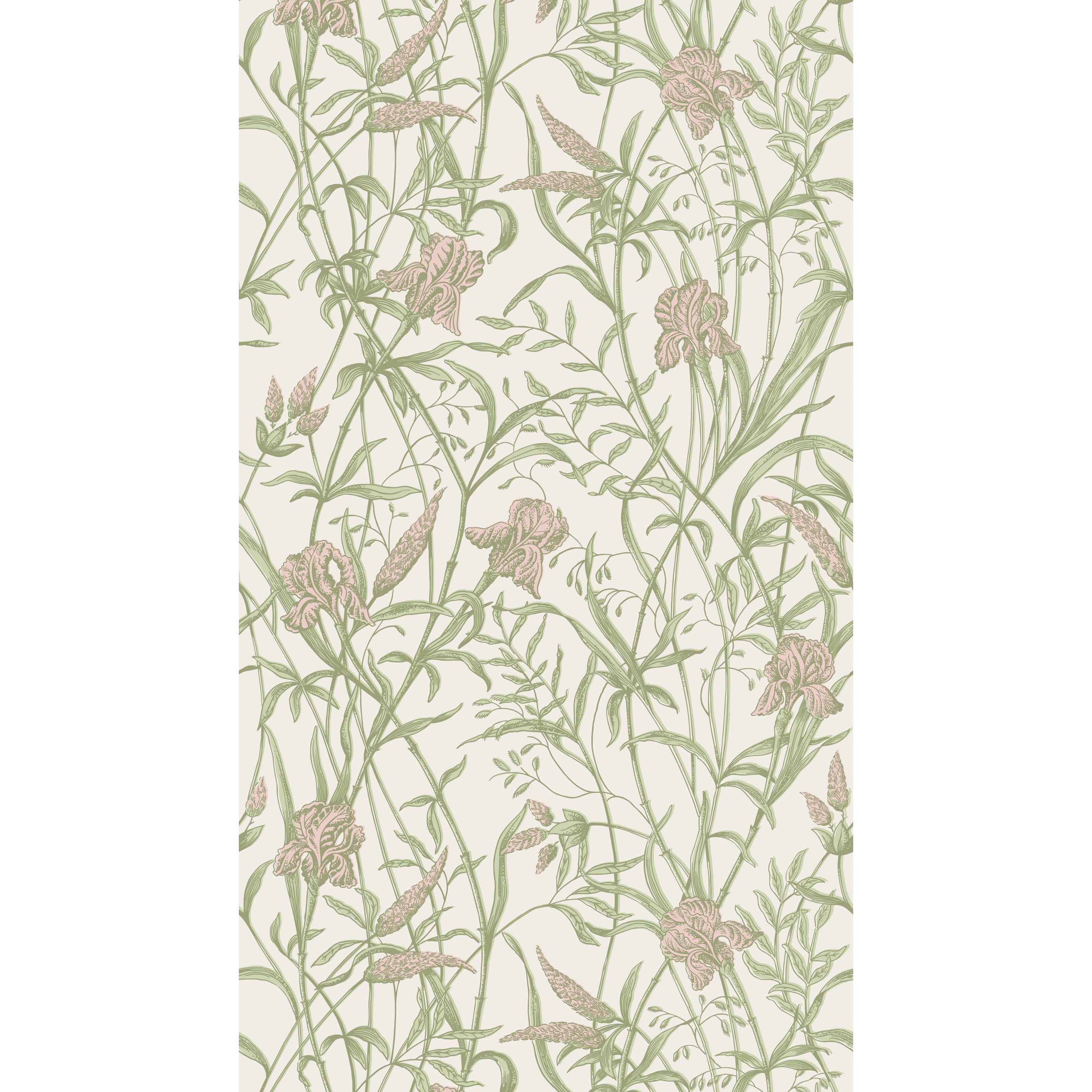 Iris - Soft Coral On Chalk - Cole & Son Wallpaper