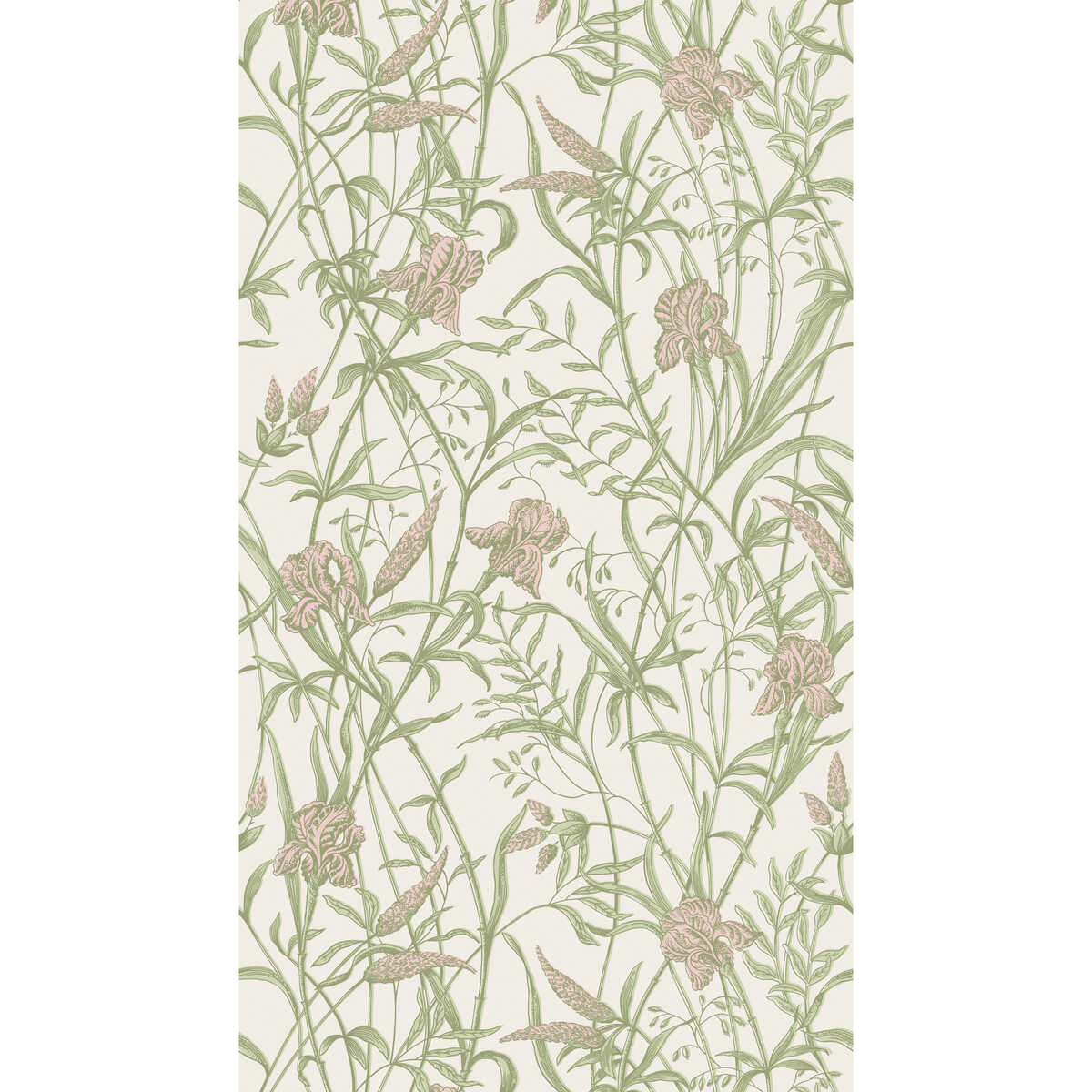 Iris - Soft Coral On Chalk - COLE & SON Wallpaper