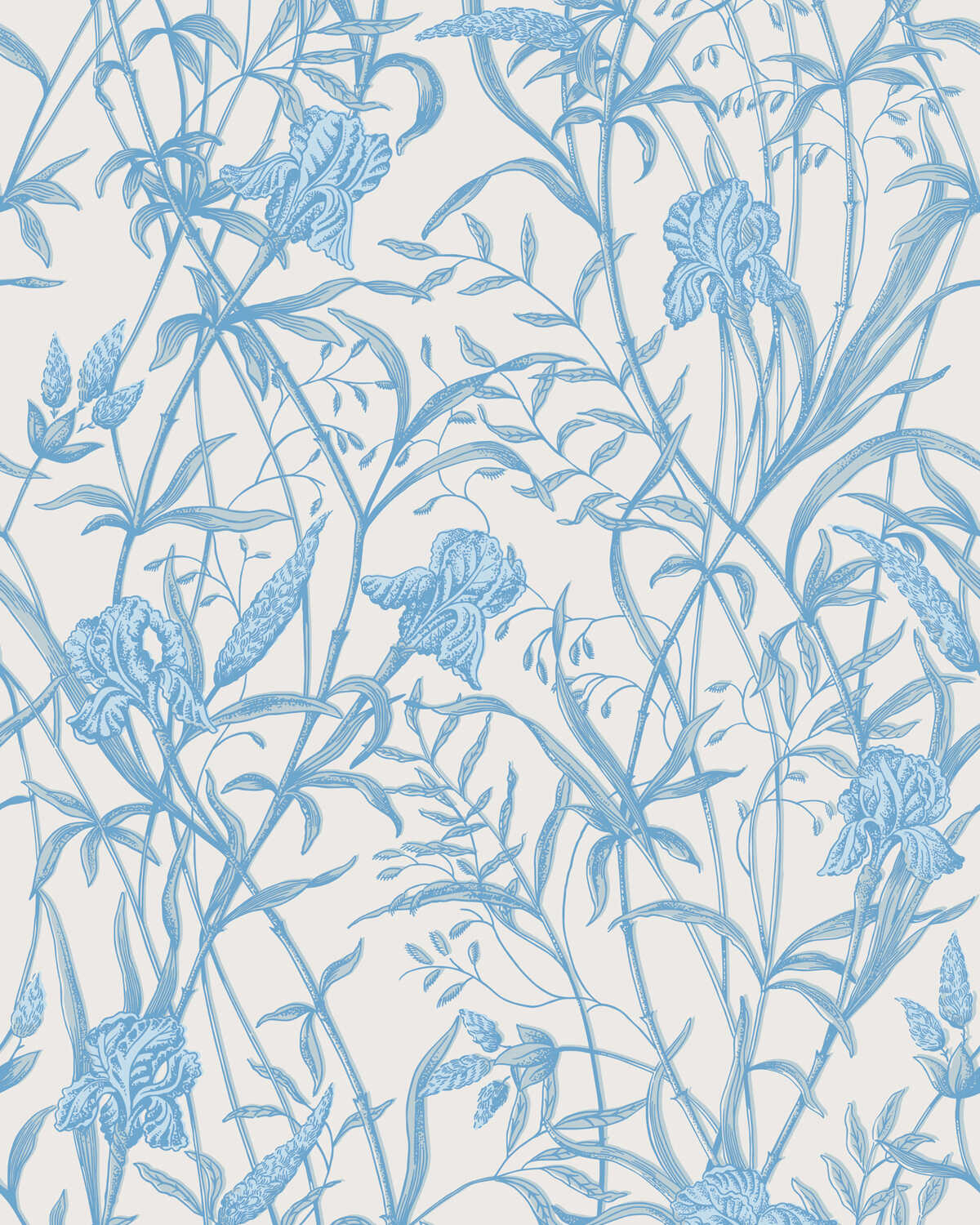 Iris - Soft Cerulean - COLE & SON Wallpaper