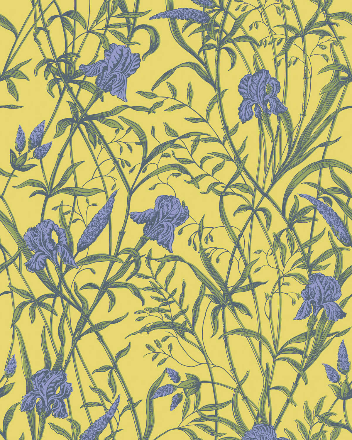 Iris - Violet On Citrine - COLE & SON Wallpaper