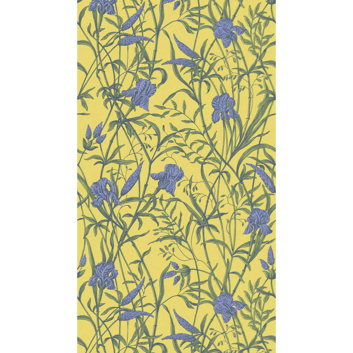 Iris - Violet On Citrine - COLE & SON Wallpaper