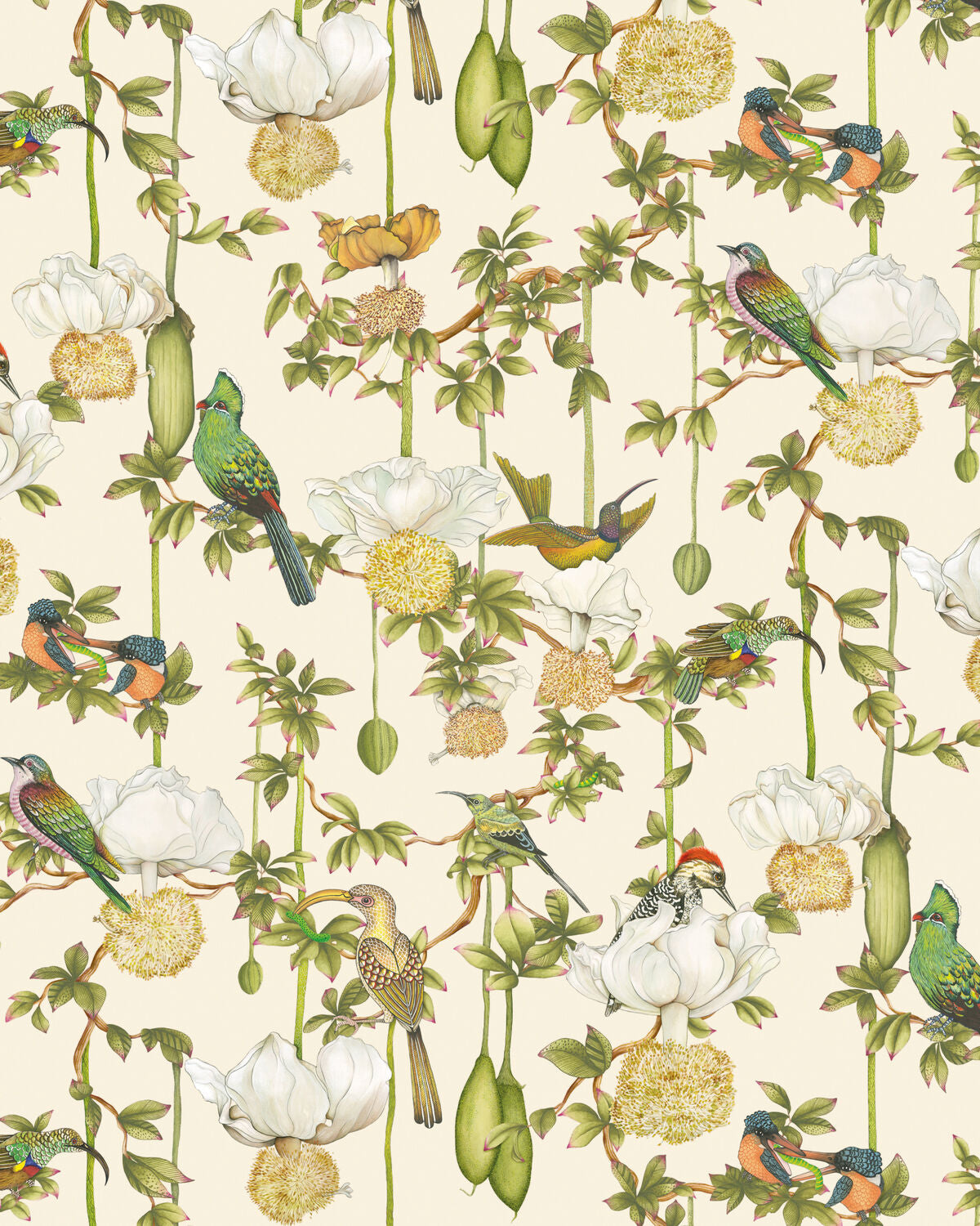 Baobob Botanica - Stone - Cole & Son Wallpaper