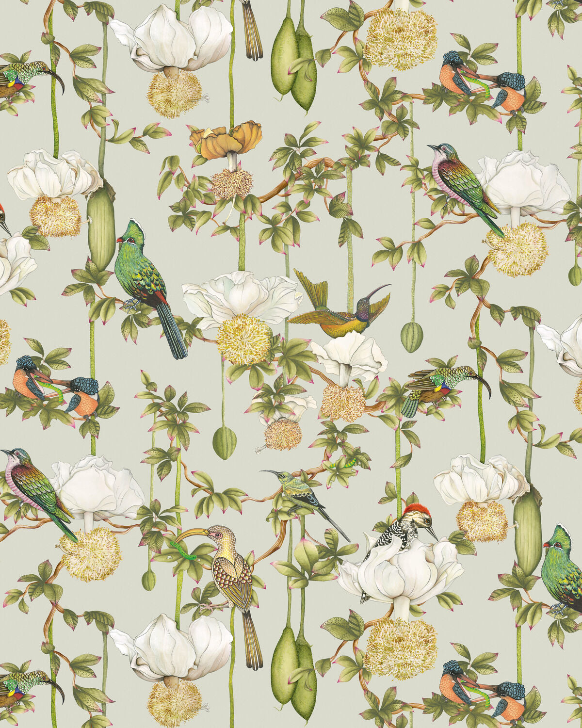 Baobab Botanica - Duck Egg - Cole & Son Wallpaper