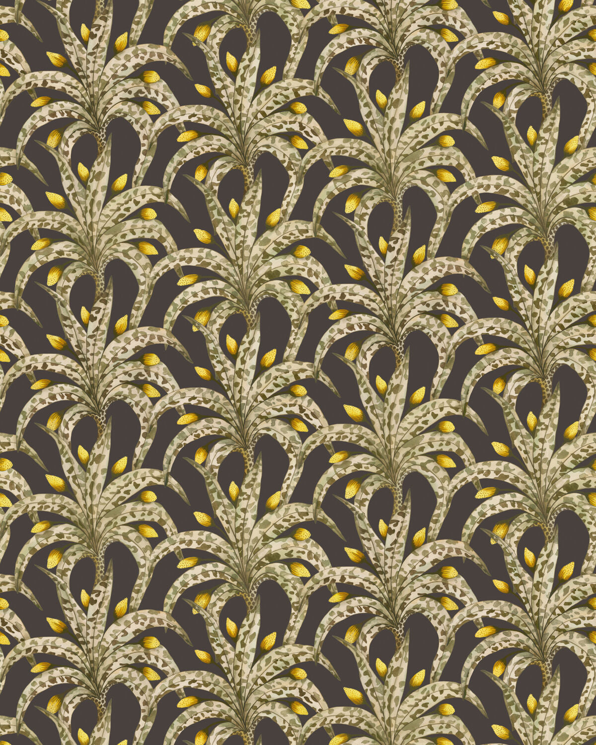 Afrika Damask - Onyx - Cole & Son Wallpaper