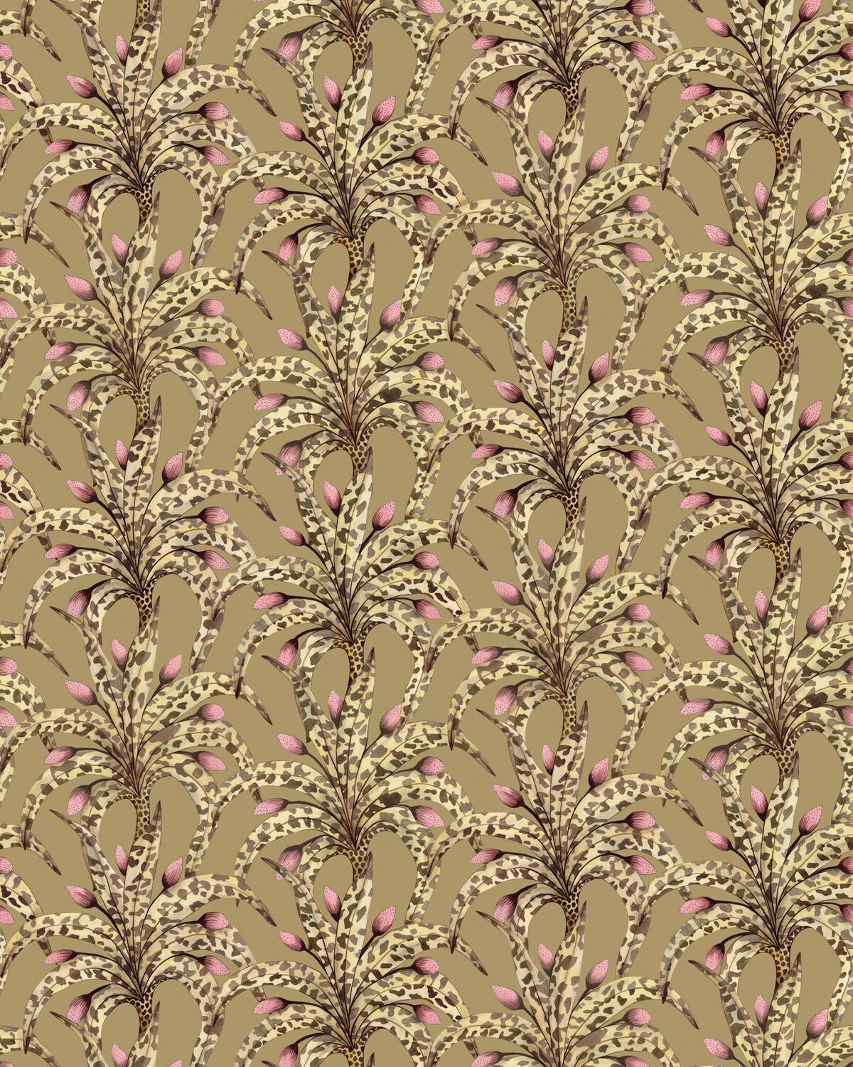 Afrika Damask - Safari - Cole & Son Wallpaper