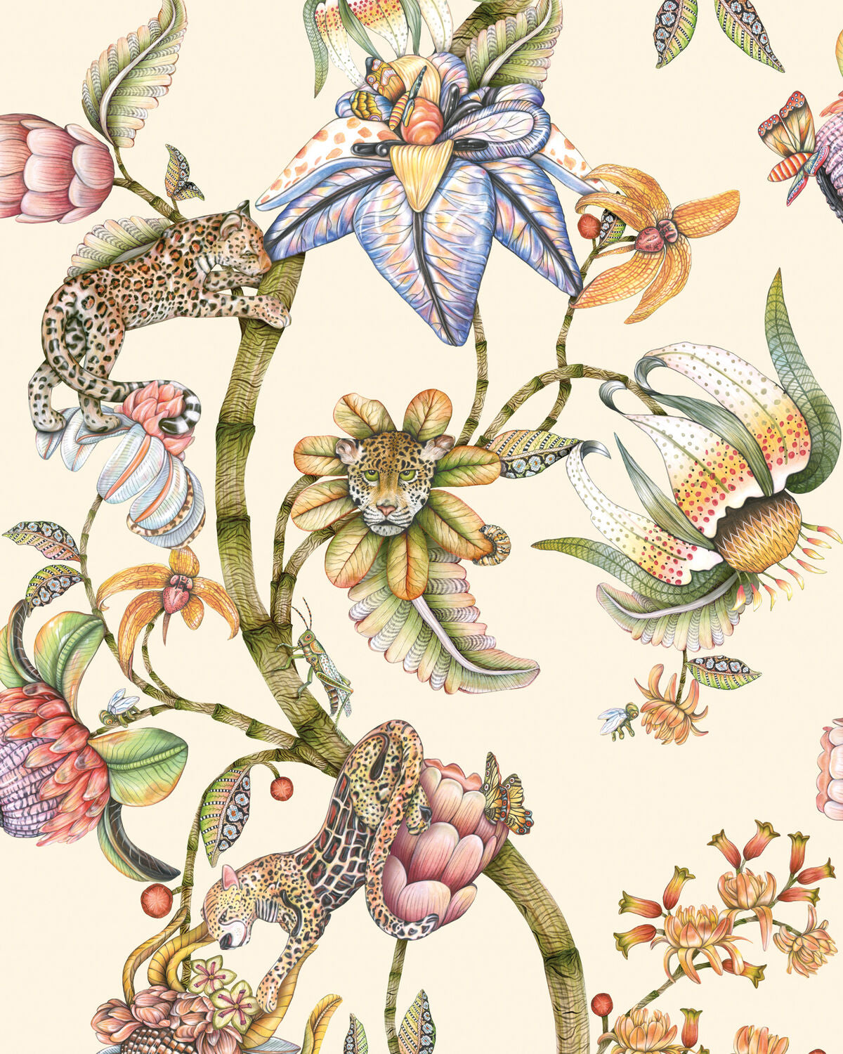 Protea Panthera - Stone - Cole & Son Wallpaper