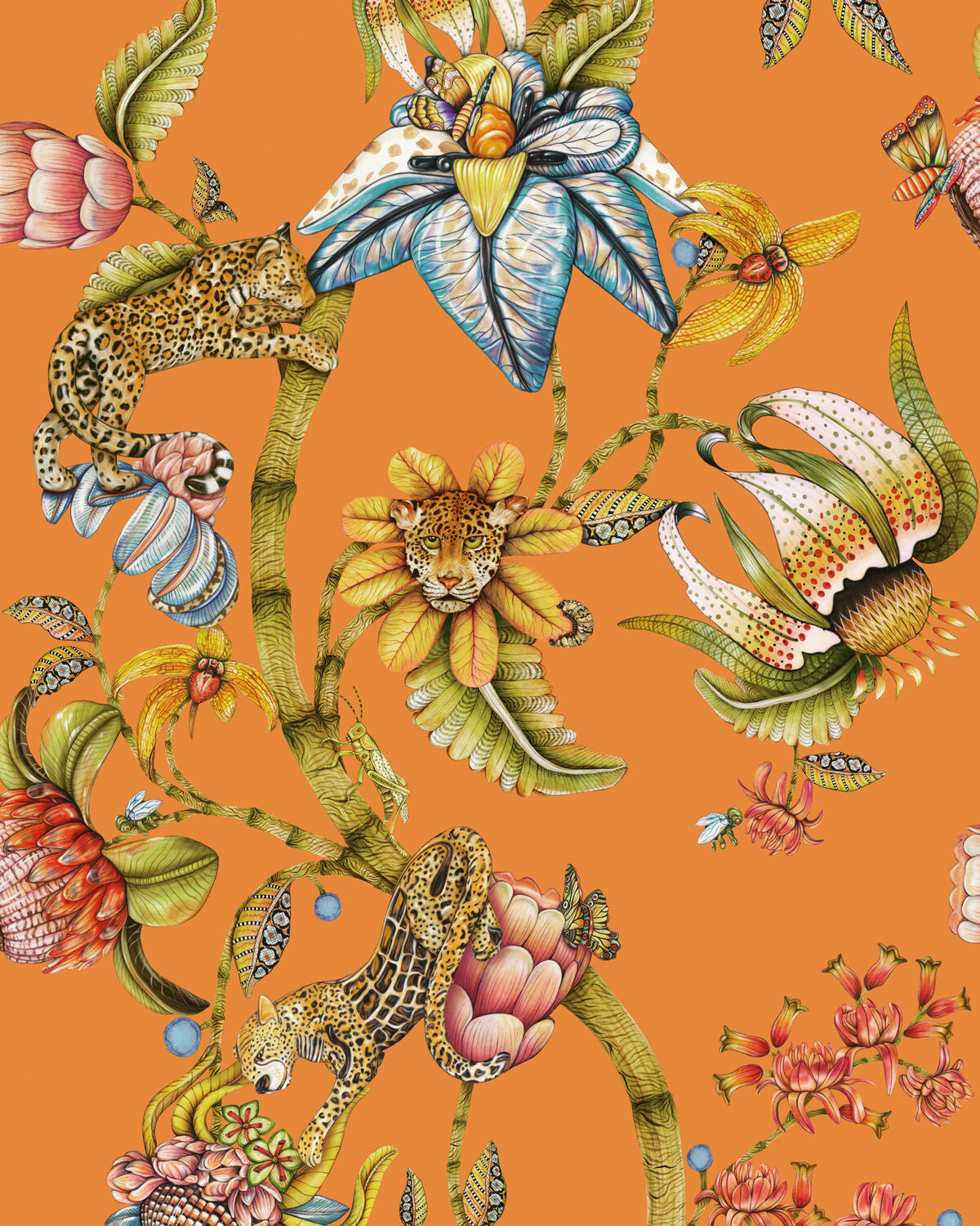 Protea Panthera - Clementine - Cole & Son Wallpaper