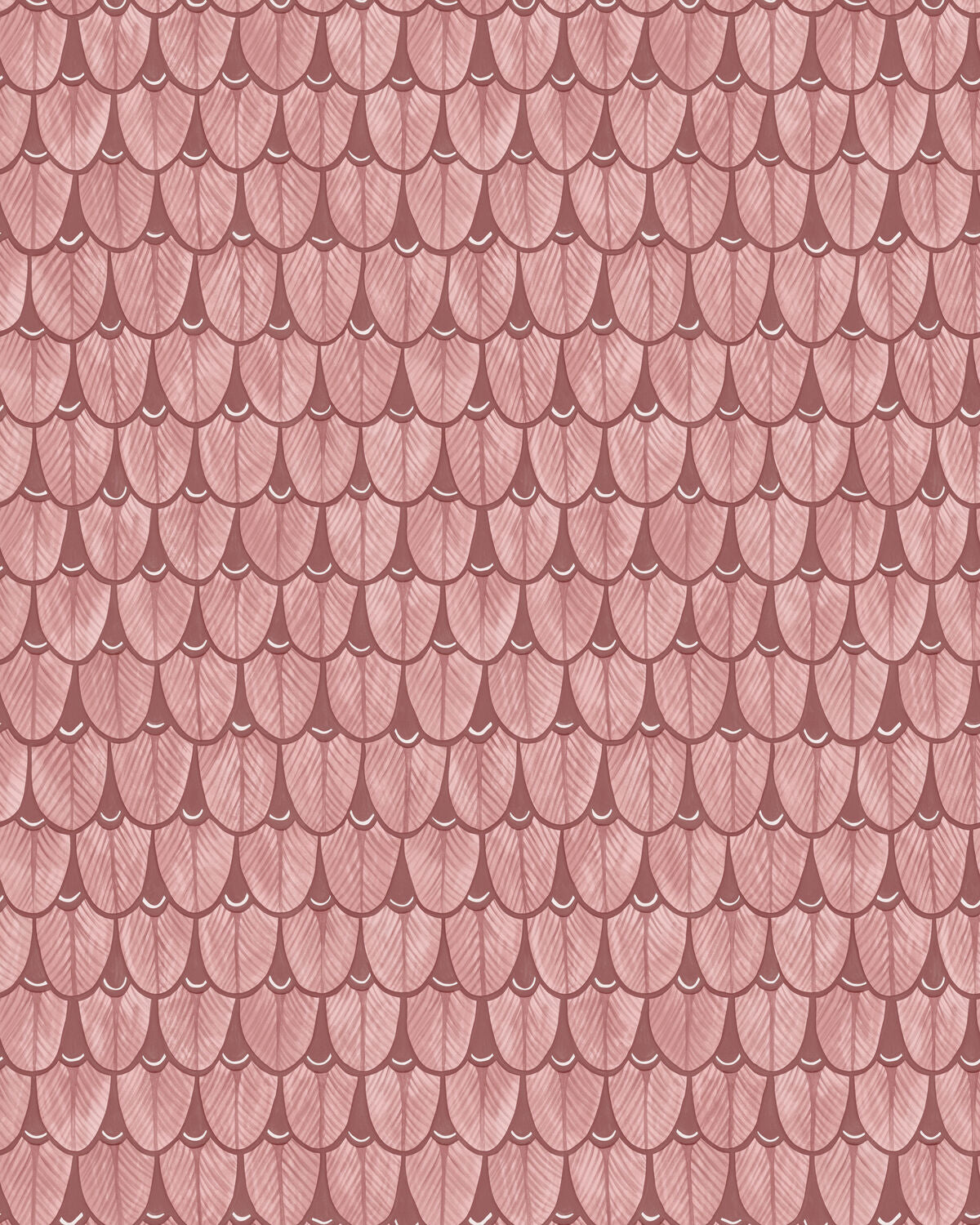 Narina - Pink & Earth - Cole & Son Wallpaper
