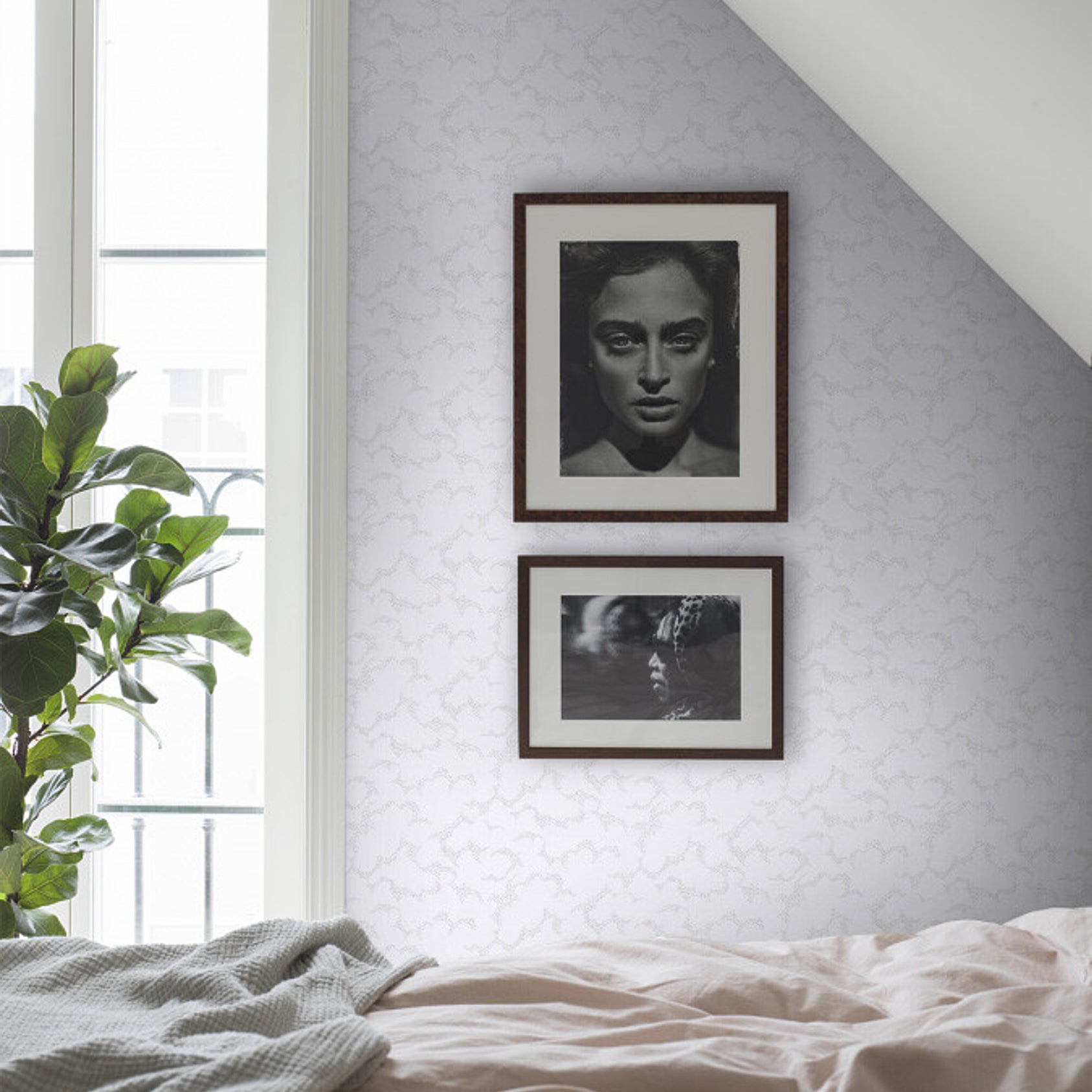 MOLNTUSS-GREY-SCHUMACHER-1456