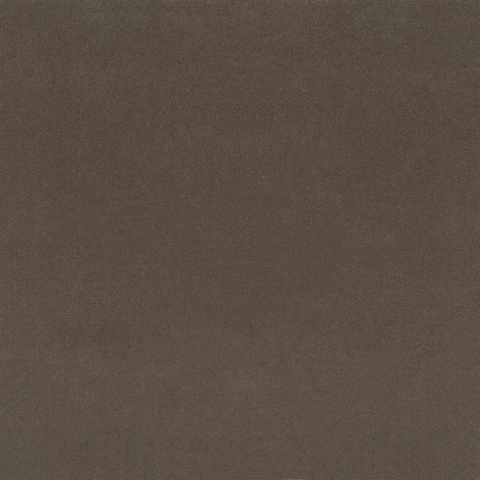 FRL5161-15 English Riding Velvet Cocoa by Ralph Lauren - The WorkRm