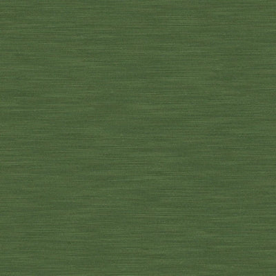 pampas-designers-guild-fdg2163-67