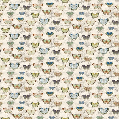 butterfly-studies-john-derian-fjd6050-01