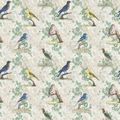 wallpaper-birds-john-derian-fjd6046-01