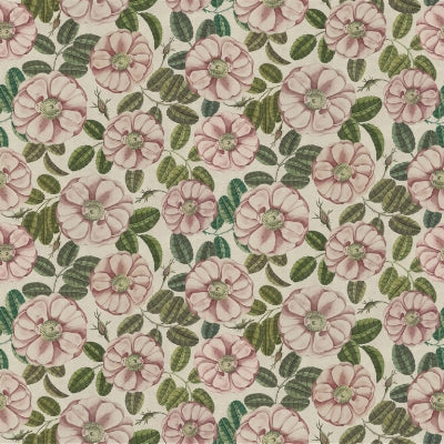 la-rose-john-derian-fjd6055-01