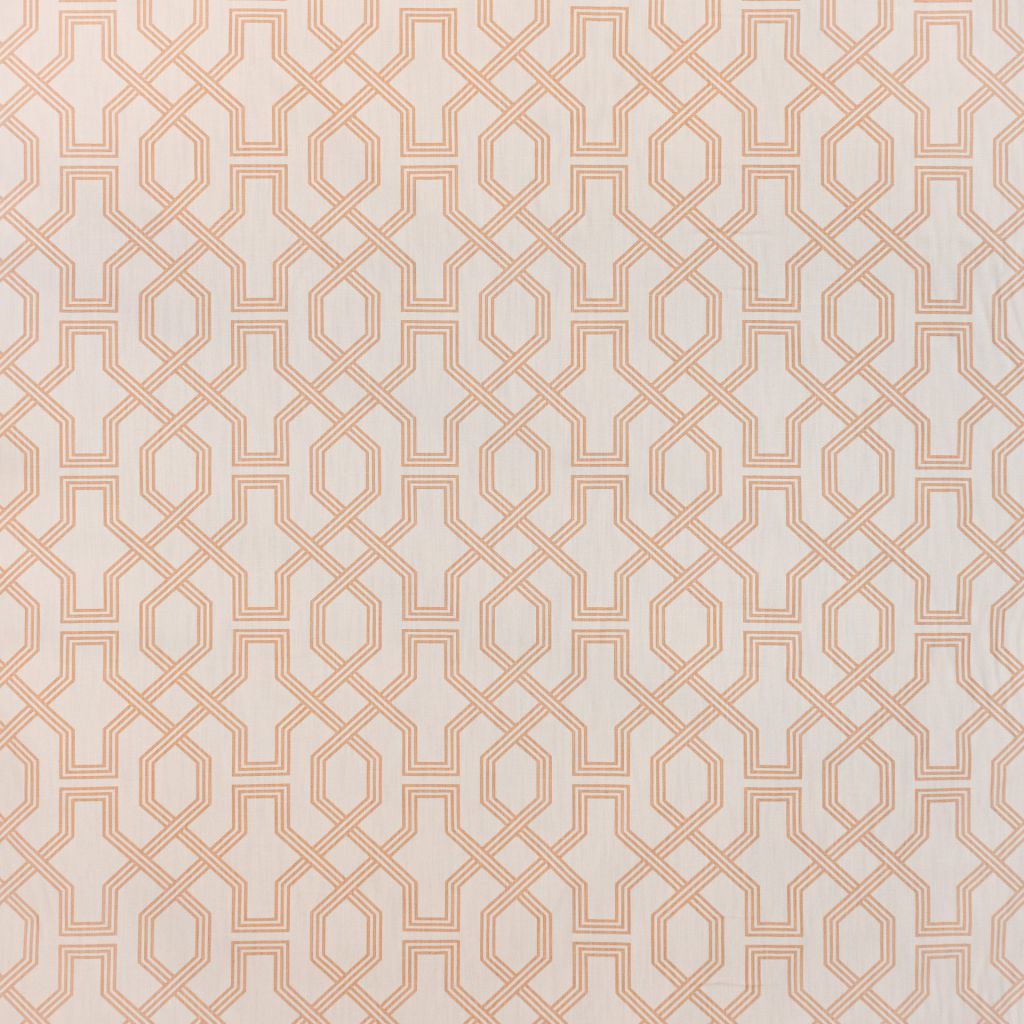 The Right Track – Cameo