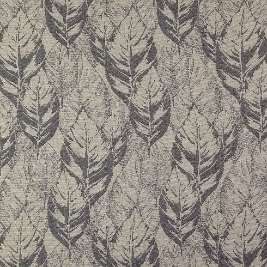Leaf Study – Graphite