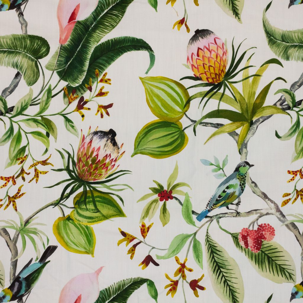 Protea Garden â Leaf
