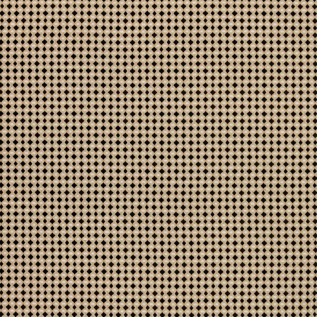 Tidbits Γ’ΒΒ Domino