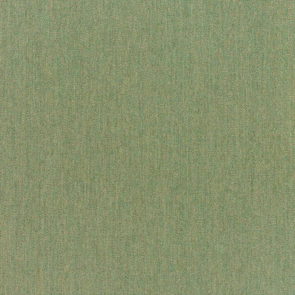 Canvas - Sunbrella® – Fern 5487-0000