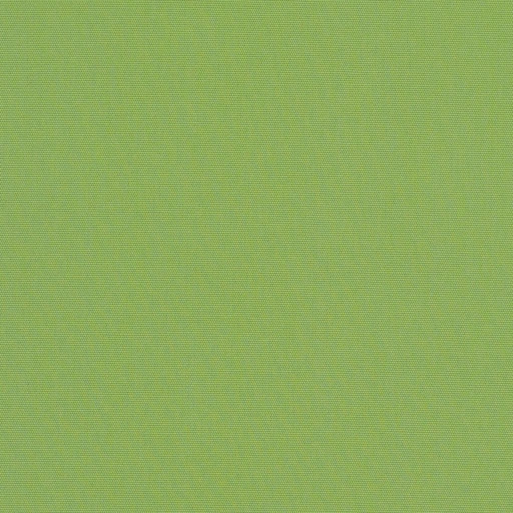 Canvas - Sunbrella® – Ginkgo 54011-0000