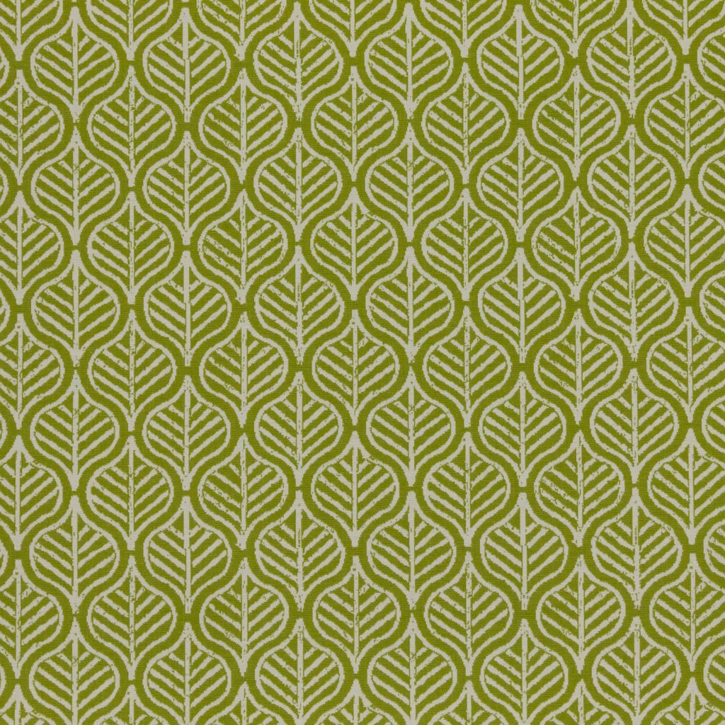 Foliage Tour – Sprig