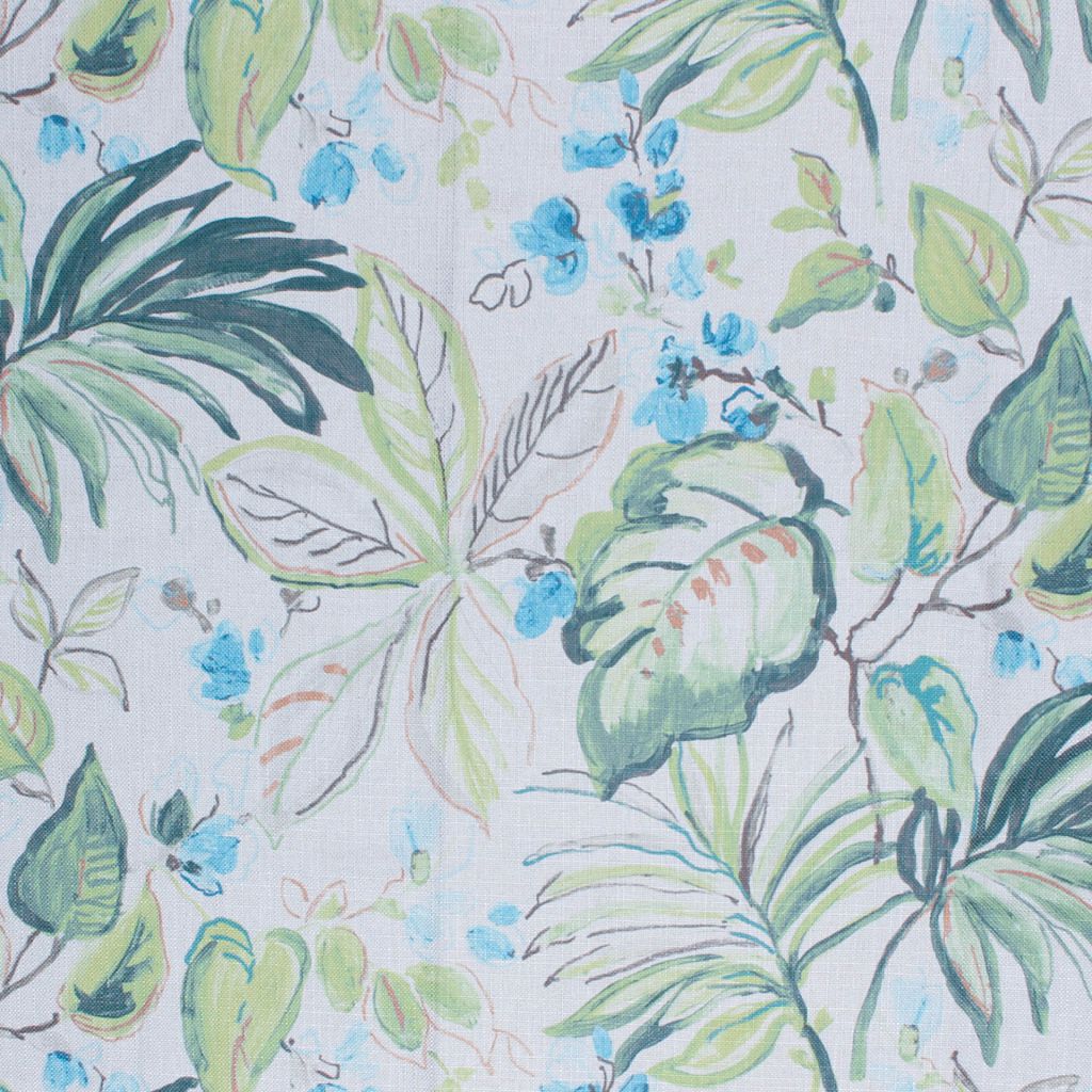 Tortola Γ’ΒΒ Fern