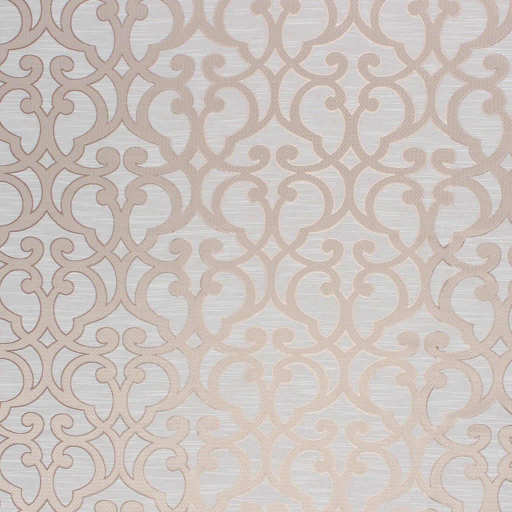 Ventura â Latte