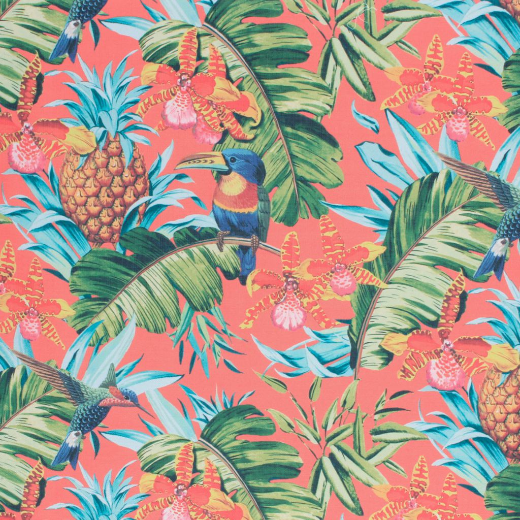 Parrot Clay – Happiness