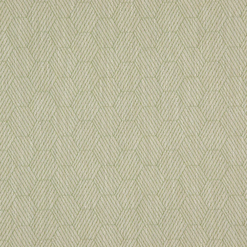 Modern Hatch – Fern