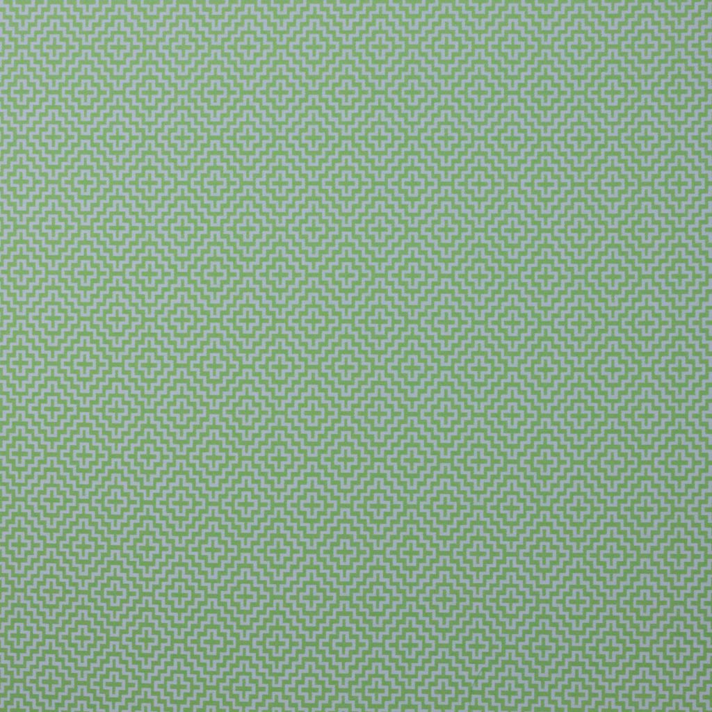 Never Fret IO – Apple