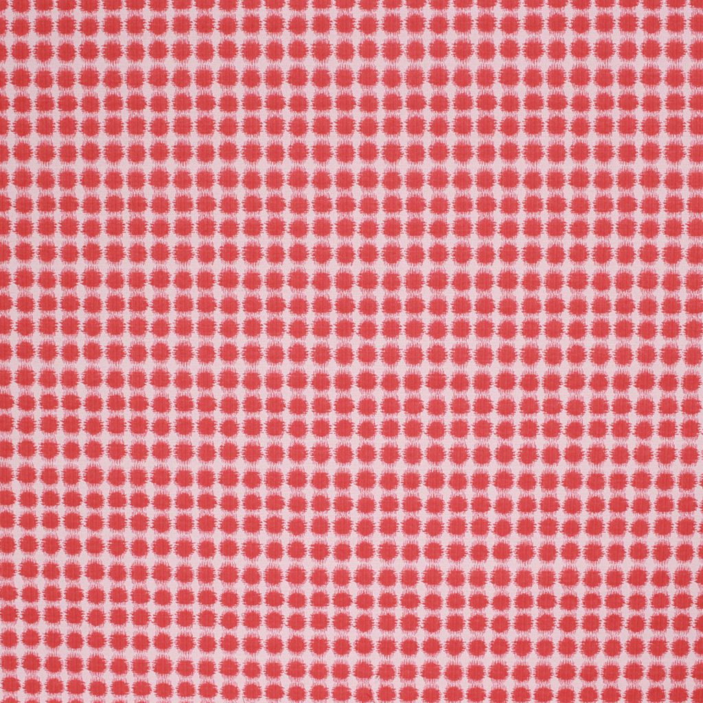 SEEING SPOTS – SALSA