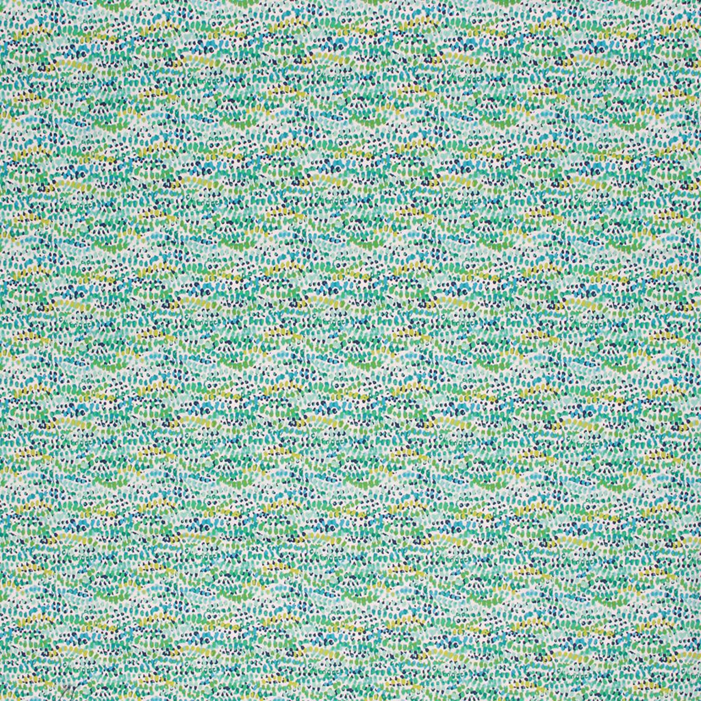 SPIT SPOT – CARIBE