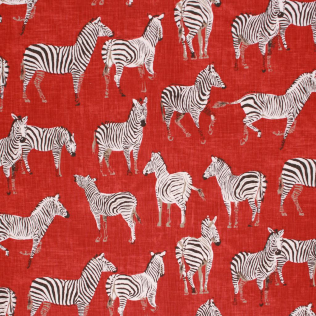 KENYA – FLAME