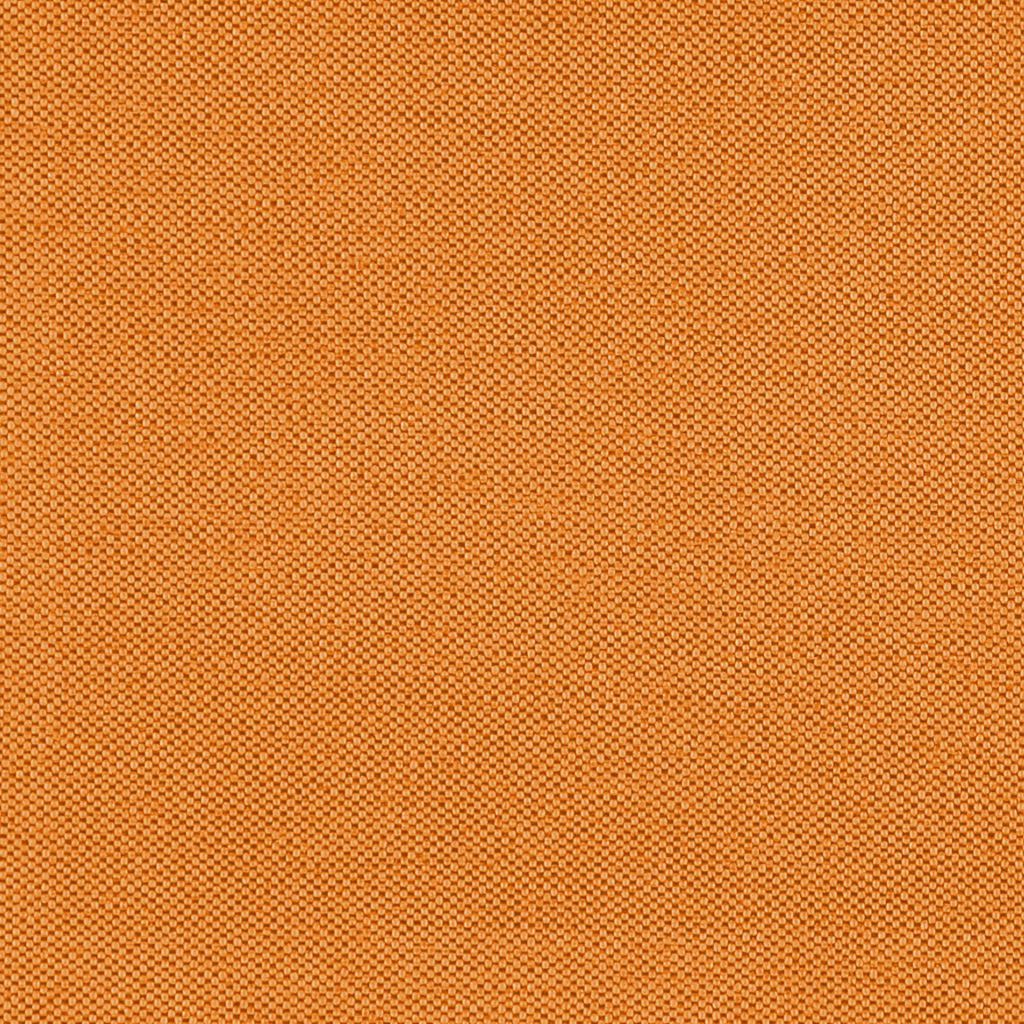 Piper – Amber
