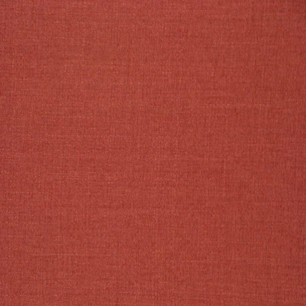 SHASTA – Salmon