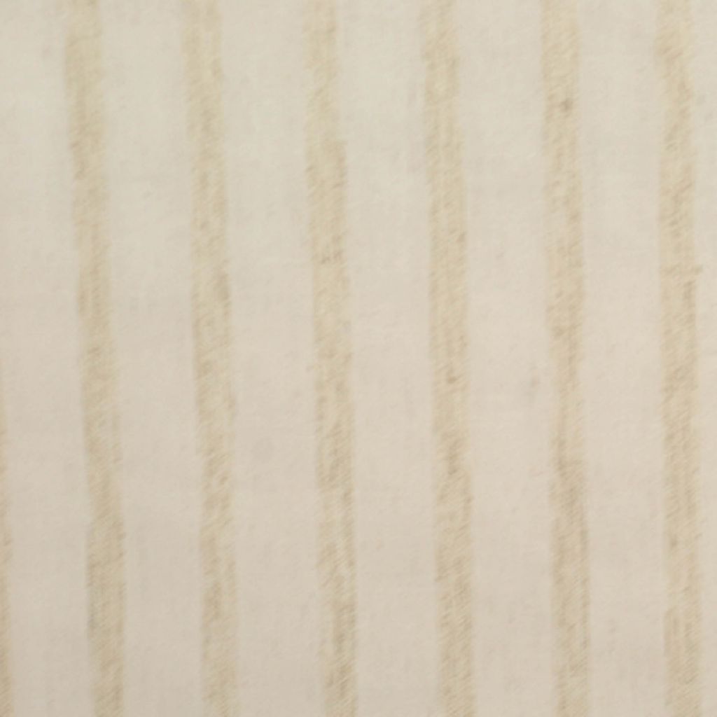 APPALOOSA STRIPE – Buckskin