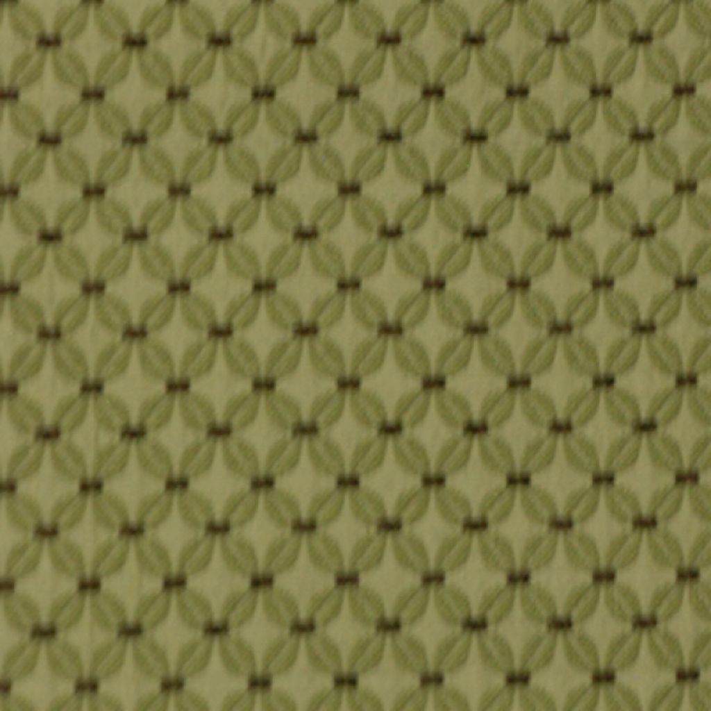 CONNECT THE DOTS – Moss