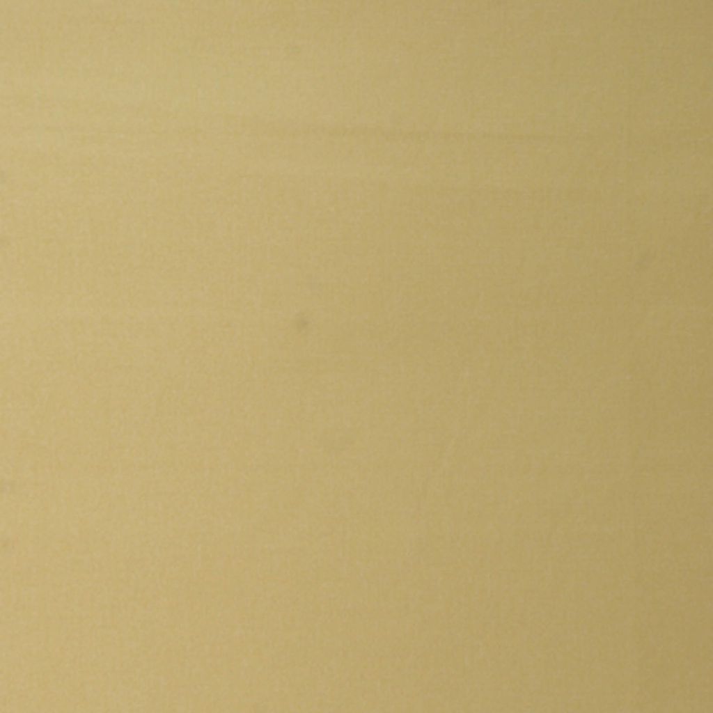 EXTRA CREDIT – Maize