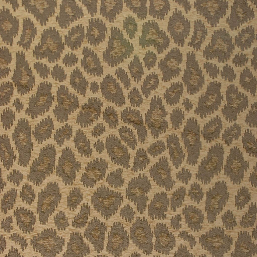 ON THE SPOT – Mushroom