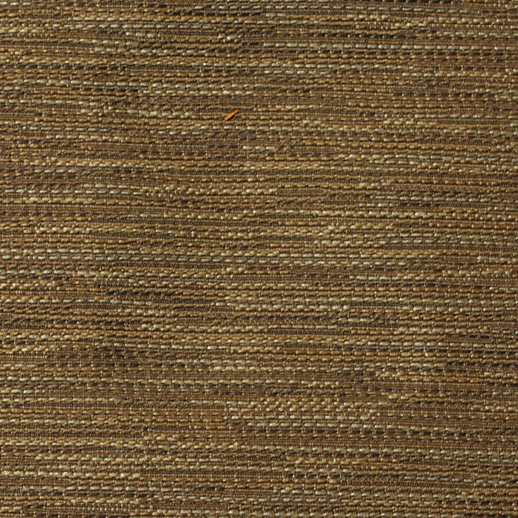 SURAT – PORCINI