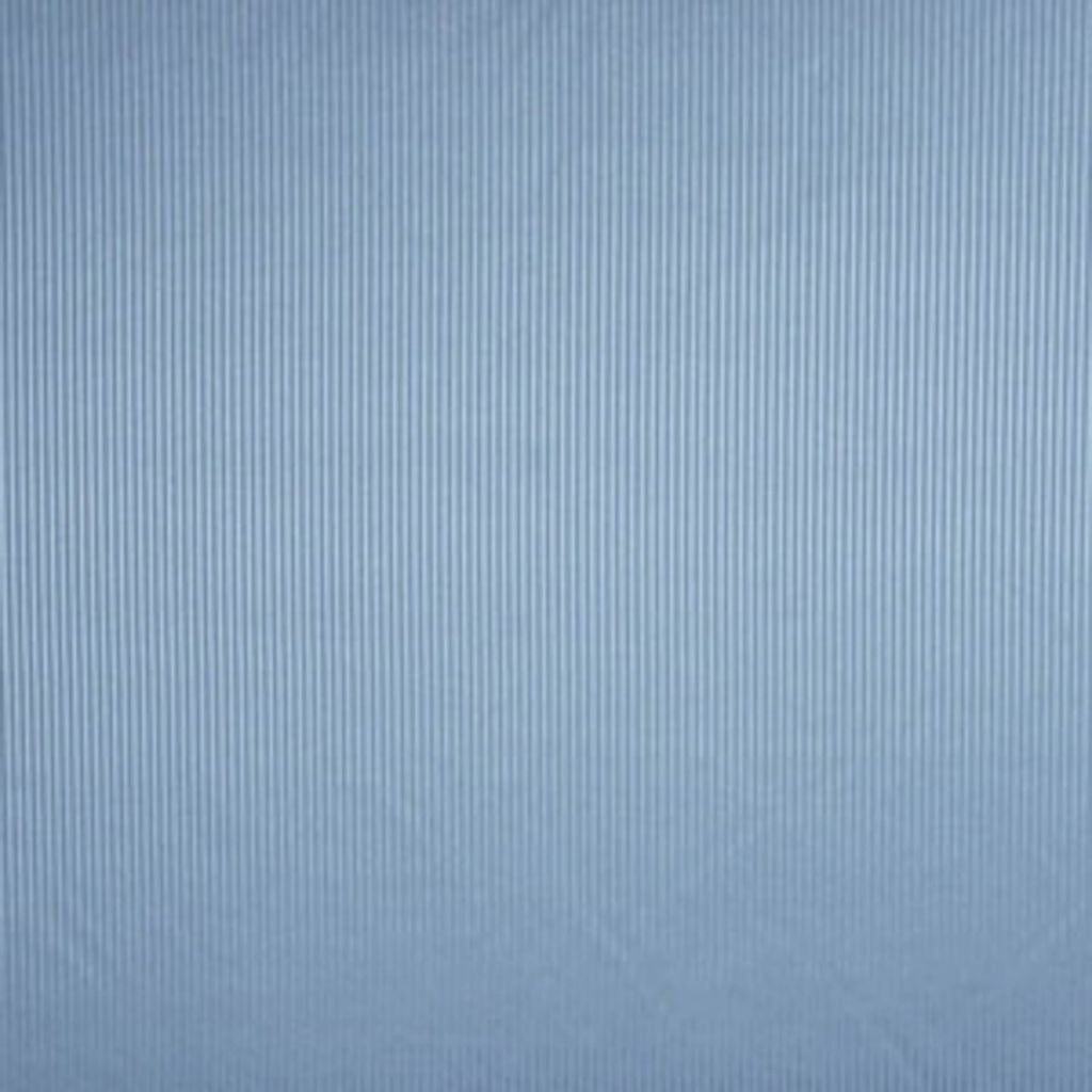 VALOR – BLUEJAY