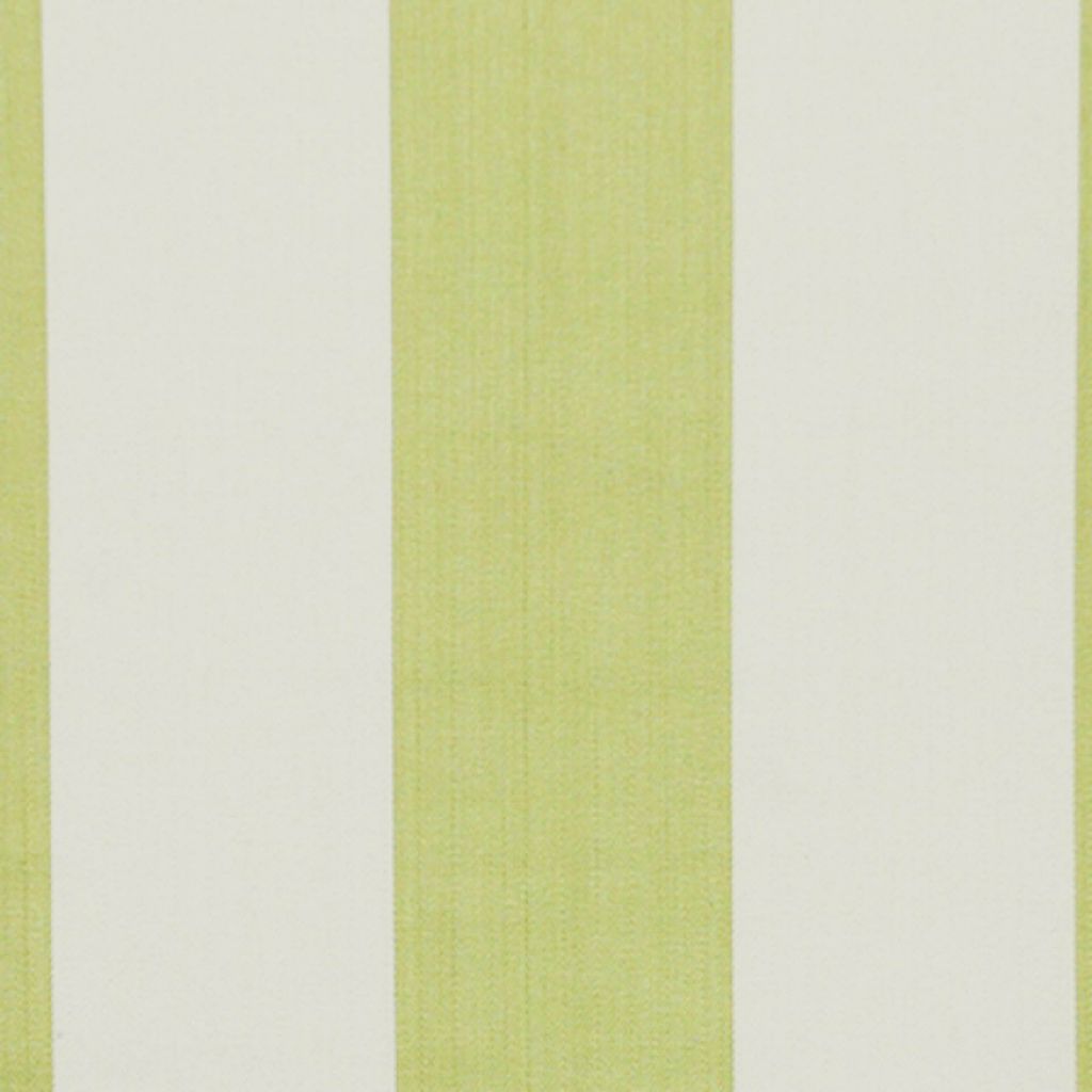 COASTLINE – Kiwi