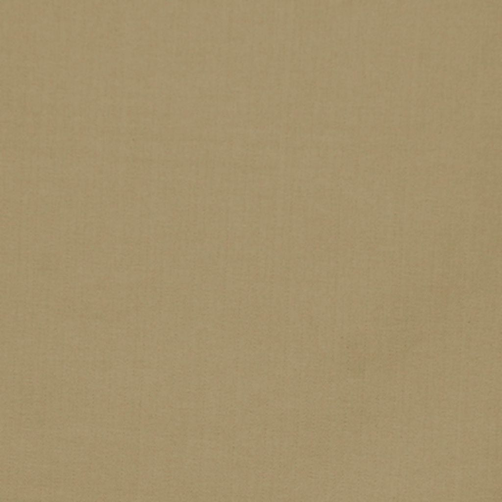 PUGET SOUND – Putty